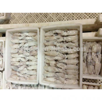 Frozen Baby Squid Loligo Japonica